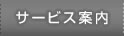 �T�[�r�X�ē�